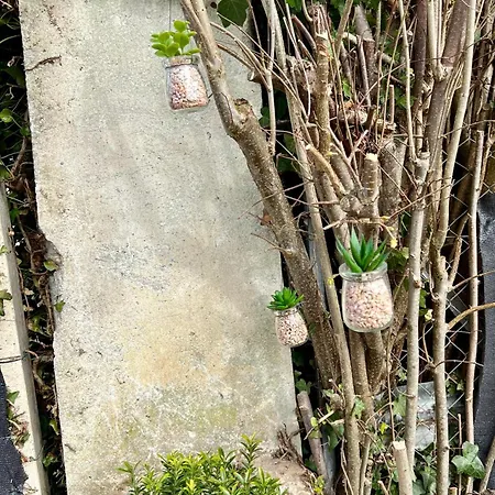 Marsuza בית נופש *